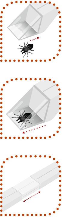Image du produit Windhager Attrape-insectes