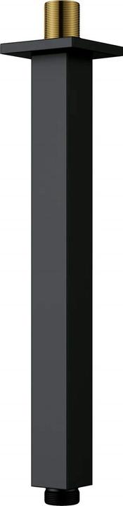 Deante Bec de douche pour plafond - 250 mm
