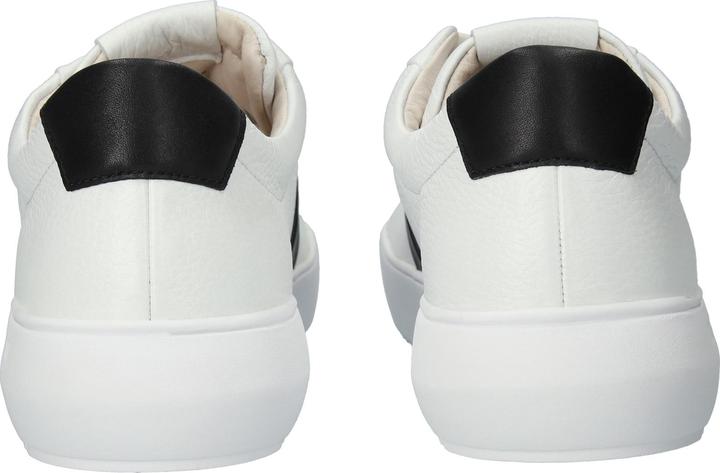 Image du produit Blackstone Ryder (44)