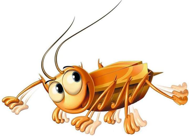 Produktbild Ravensburger La Cucaracha (Deutsch, Französisch, Italienisch)