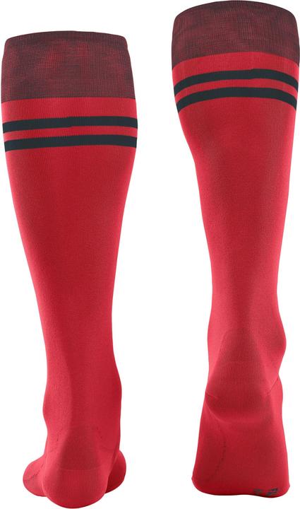 Actual product image Falke SK7 Race (42 - 43)
