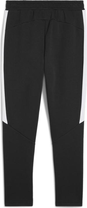 Puma teamEVOSTRIPE Pants