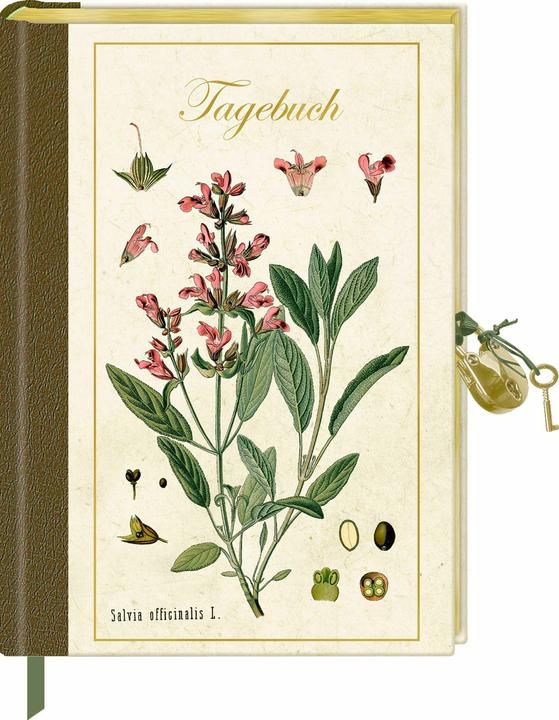 Produktbild Tagebuch mit Schloss Samml.Augustina (Liniert, Harter Einband)