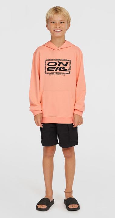 Produktbild O'Neill Logo Hoodie (176)