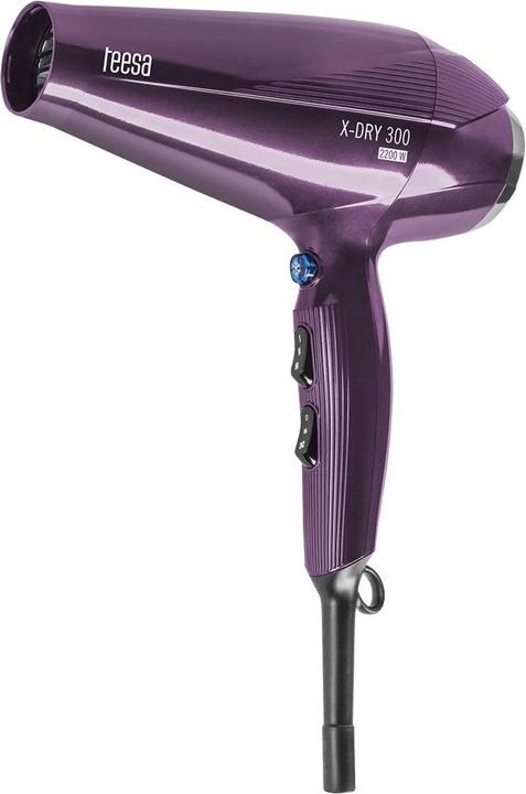 Teesa X-DRY 300 2200W