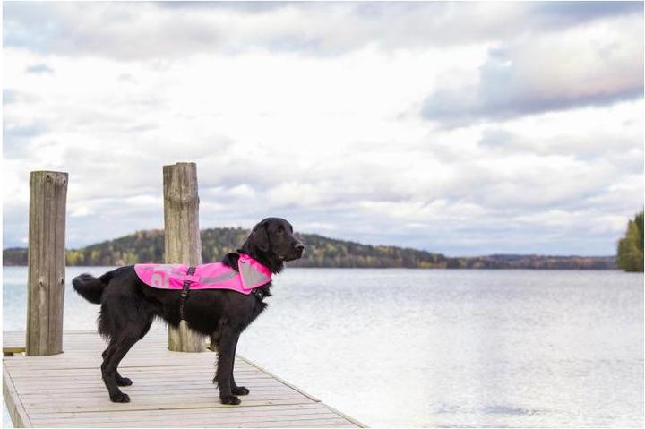 Actual product image Rukka Flap Safety Vest (XS, Dog vest)