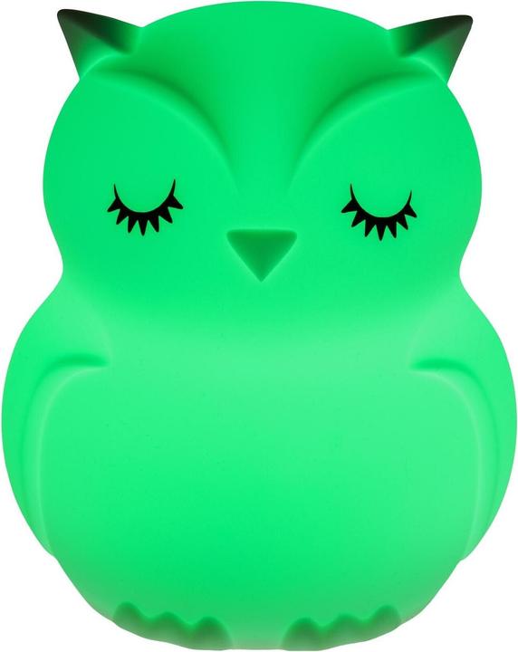 Actual product image Cocon Eule