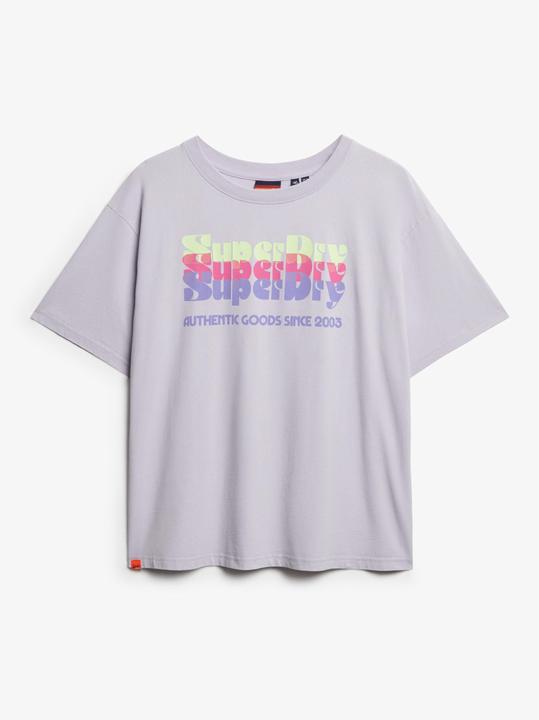 Produktbild Superdry Neonfarbenes T-Shirt in Übergrösse mit Regenbogen-Print (10)