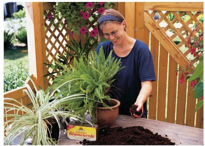 Produktbild Neudorff Kokohum Blumenerde (7 l, Erde ohne Torf, Coco Slab)