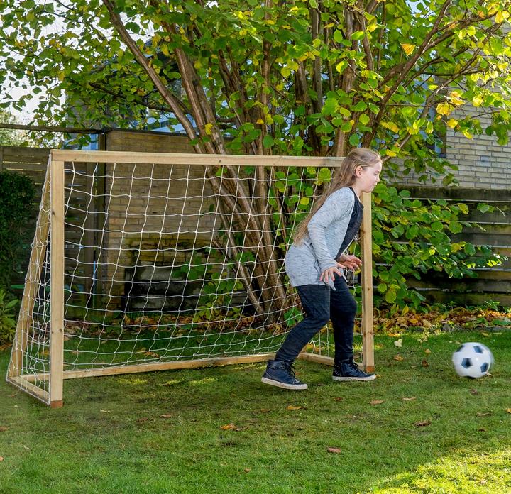 Actual product image Euro Play Homegoal Classic Junior