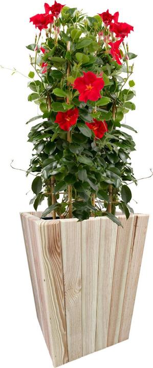 Actual product image Natura Punto Flower pots with inner foil (30 cm)