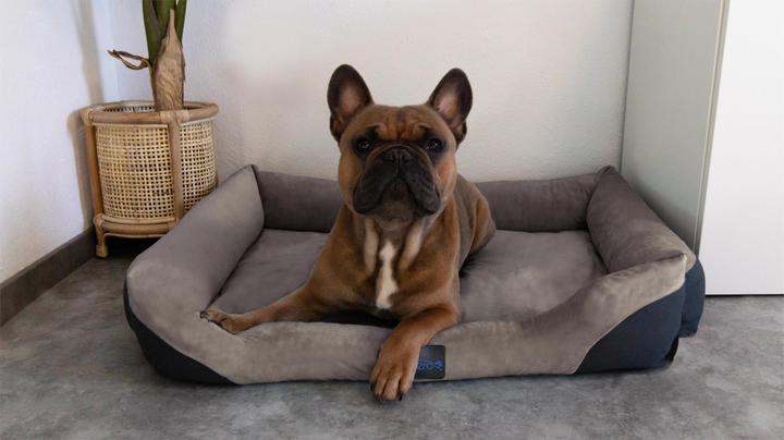 Actual product image Aspero Hanko and Lund Dog Bed and Blanket (Dog)