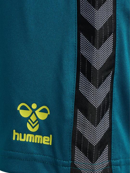 Actual product image hummel Hmlauthentic Pl Shorts Woman (M)