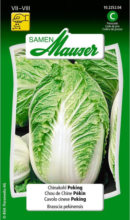 Samen Mauser Chinese cabbage Peking (Vegetable seeds)
