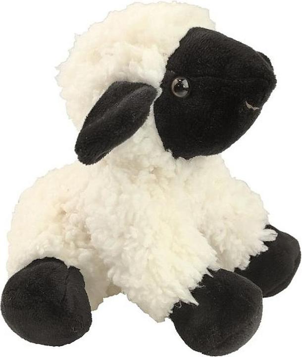 Peluche