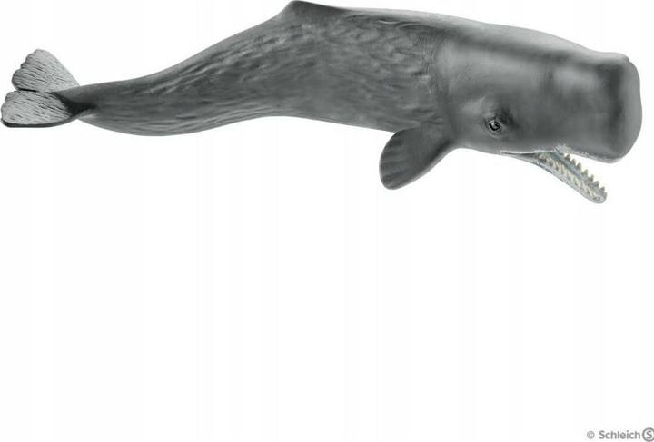 Actual product image Schleich Sperm whale