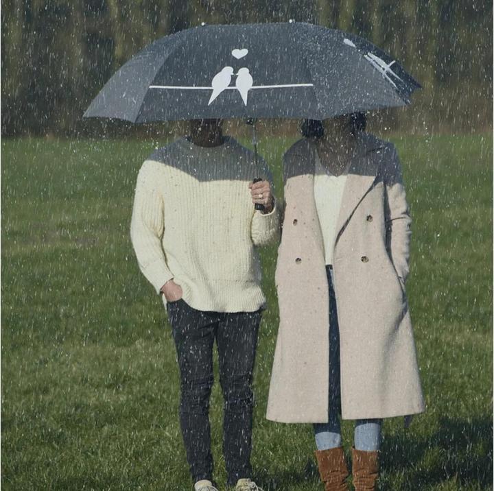 Image du produit Esschert Design Parapluie partenaire