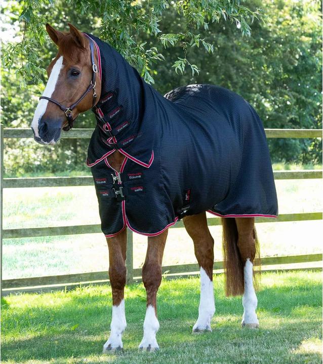 Image du produit Premier Equine Couverture séchante pour cheval avec couvre-cou (198 cm)