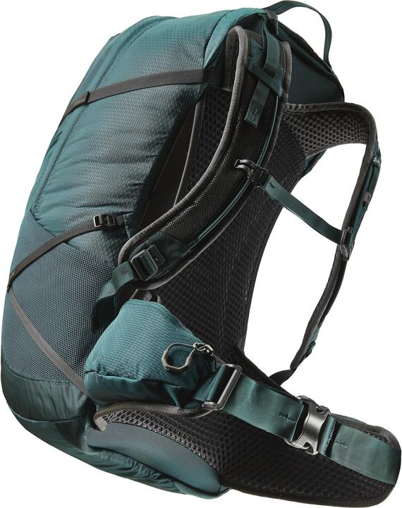 Actual product image Gregory Juno 30L (30 l)