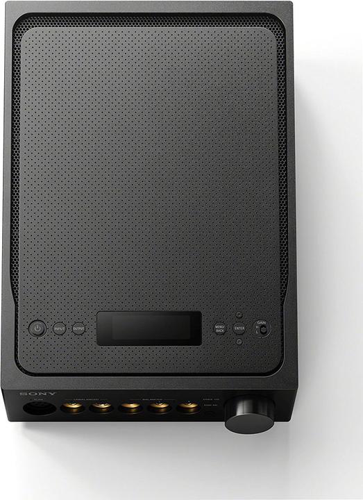 Sony TA-ZH1ES Signature Series (USB-DAC, Gain-Schalter)