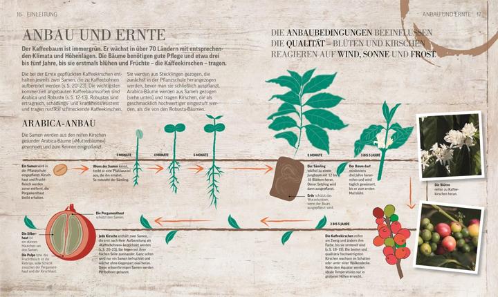 Image du produit Das Kaffee-Buch (Allemand, Anette Moldvaer, 2019)