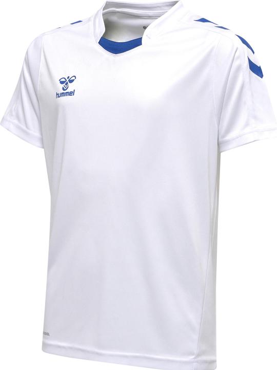 whitetrueblue