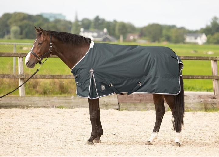 Harry's Horse Thor 100 gr