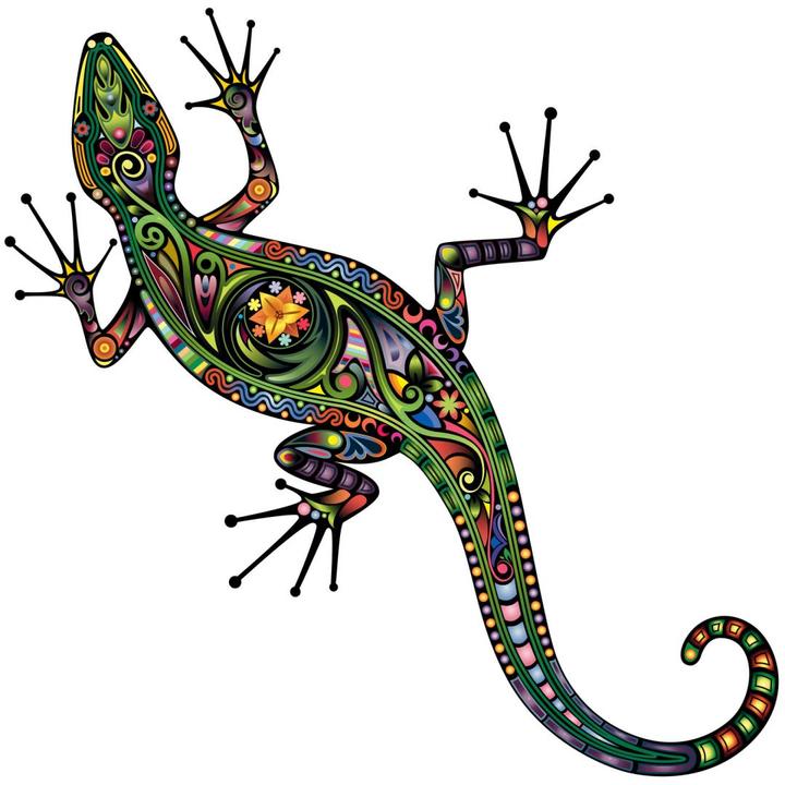 Produktbild Trenddeko Farbenfroher Gecko (100 x 99 cm)