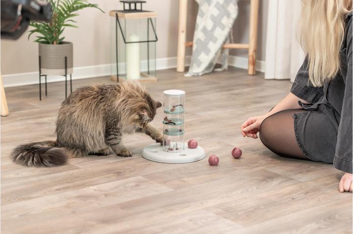 Immagine prodotto Trixie Gatto Attività Torre da gioco (Catmint giocattolo)