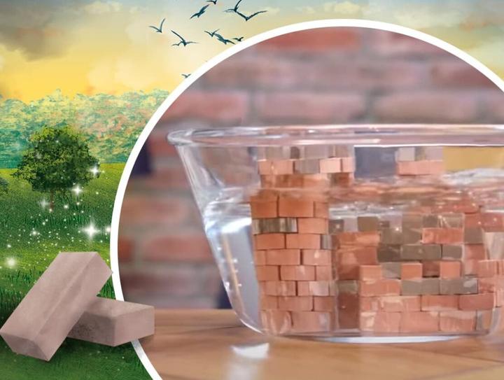 Image du produit Trefl Construisez la pyramide de voyage EKO Klocki en briques (260 pièces)