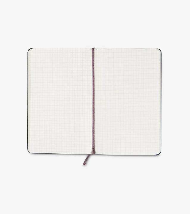Actual product image Moleskine Notebook Classic Large (A5, Checked, Hardcover)