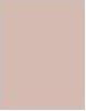 Immagine prodotto Shiseido Synchro Skin Seta Invisibile (Matte)