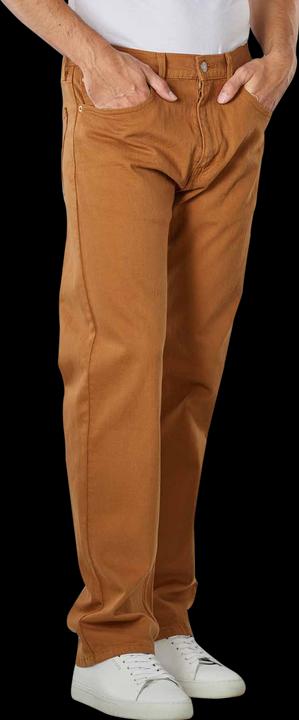 Levis 10018264