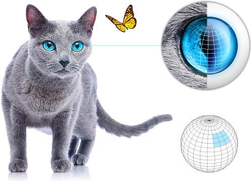 Actual product image Fibaro motion sensor (50 m)