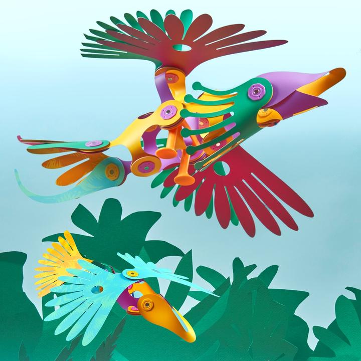 Actual product image Clixo Tropical Birds