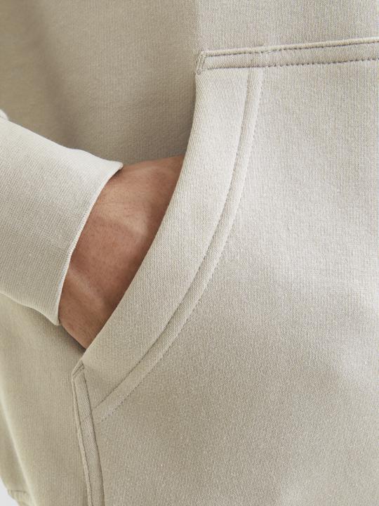 Produktbild Jack & Jones Jorvesterbro Block Sweat Hood Styd Aw24 (S)