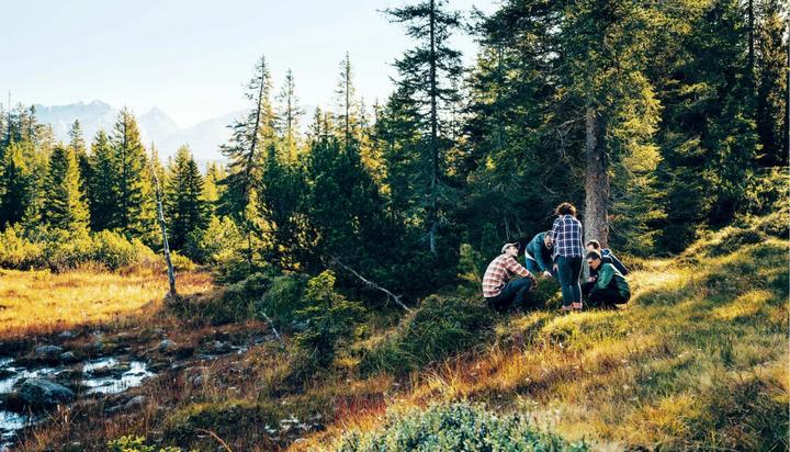 Produktbild Cook The Mountain (Edizione italiana 2 voll. in cofanetto). (Italienisch, Norbert Niederkofler, 2020)