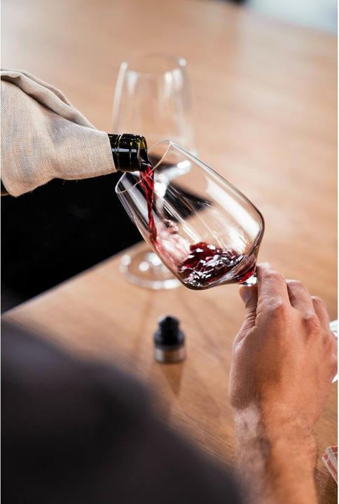 Actual product image Zwilling Wine stopper (Wine stopper)