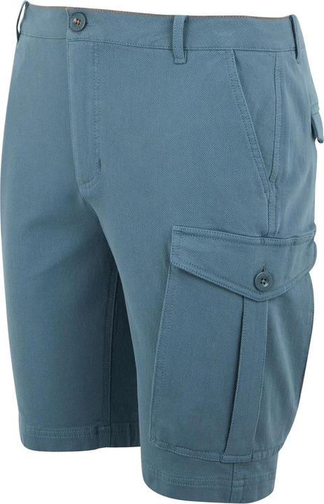 Actual product image Regatta Mens Bendrick Shorts (40)