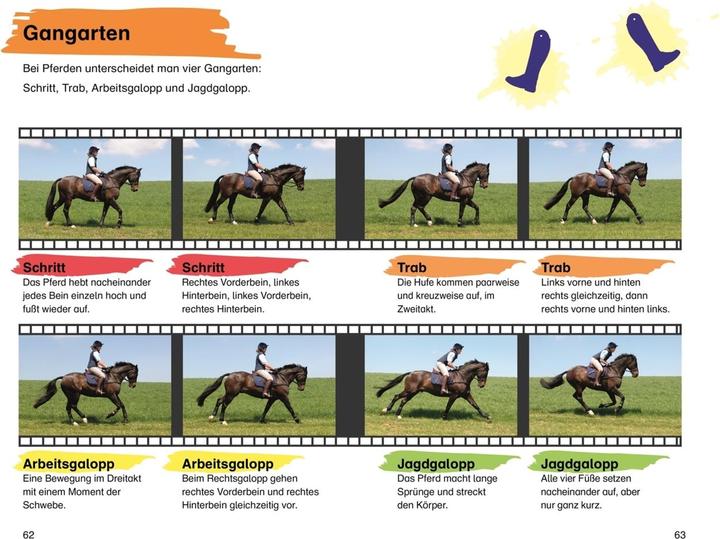 Actual product image SUPERLESER! Emma und der Pony-Klub (German, Patricia J Murphy, Susan Niessen, DK Verlag - Kids, 2022)