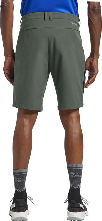 Actual product image Jack Wolfskin Pico Trail Shorts M (52)