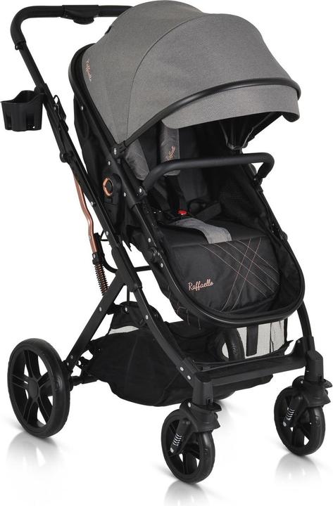 Actual product image Moni Rafaello 2 in 1 pushchair