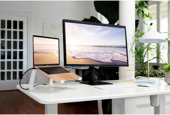 Produktbild TwelveSouth Curve SE