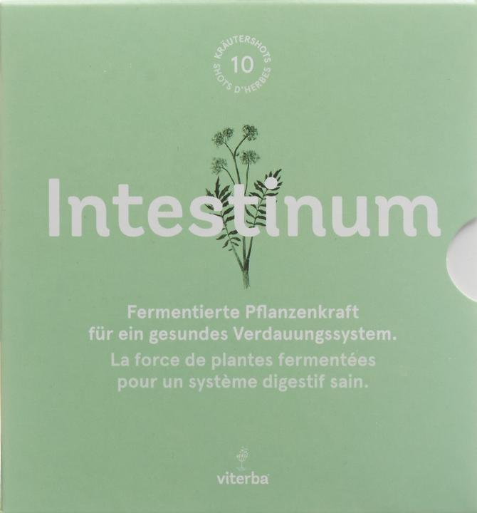 Actual product image Viterba Intestinum herbal shots healthy digestion (10 Piece, Ampoule, 348 g)