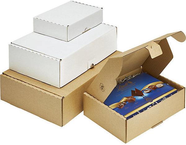 Produktbild kaiserkraft Klappbox (50 x)