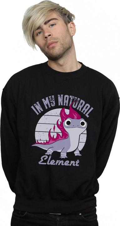 Actual product image Disney Mens Frozen 2 Salamander Bruni Element Sweatshirt (4XL)