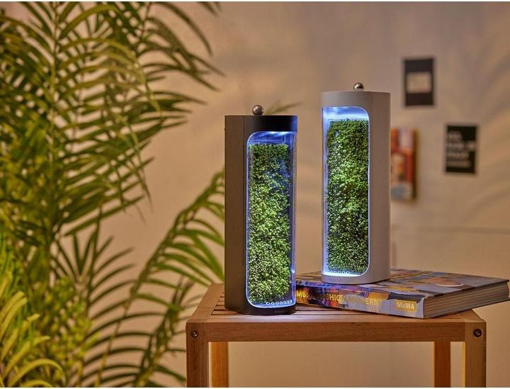 Produktbild Mosslab Air Humidifier Moss
