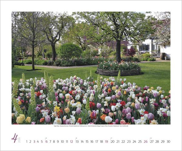 Produktbild Gartenträume 2026 (Englisch, Französisch)