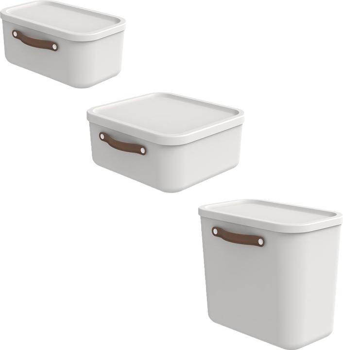 Produktbild Rotho 3er Set Aufbewahrungsboxen klein MALOJA (12 l)