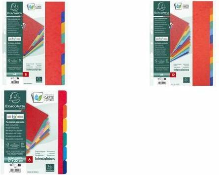 Label énergétique Exacompta Intercalaires vierges - carton